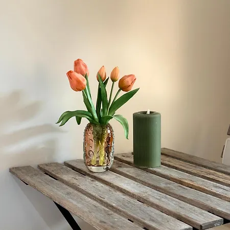 Apartment 41 Nh